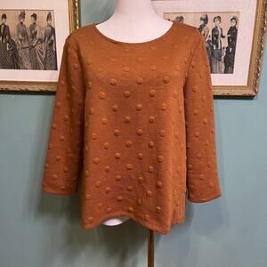 Anthropologie W5 Rust Orange Textured Polka Dot Knit Top Medium Boho Fall career